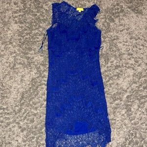 NWOT Blue lace Cocktail dress
